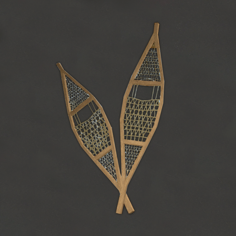 snowshoe
