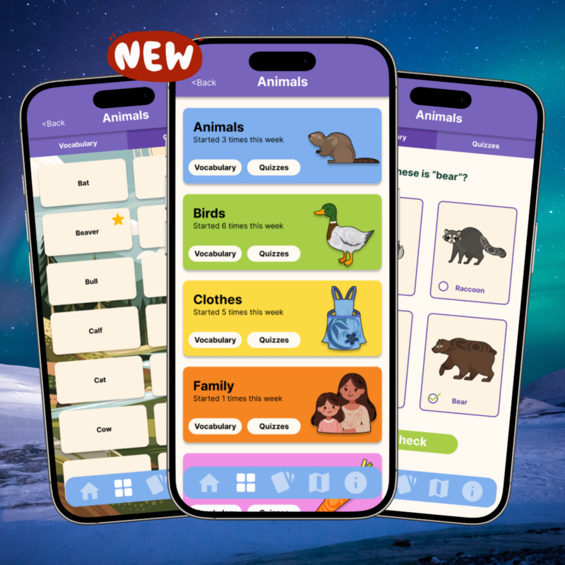 Language Animated Flashcards - Ogoki Learning Inc